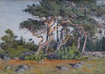 Gunnar Widforss - Sun Washed Trees
