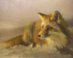 F. Michael Wood - Dawn Red Fox