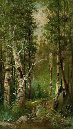 Frederick Schafer